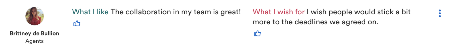 Ansicht eines Pulse Kommentars