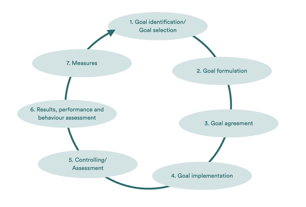 7 steps tp management by objectives